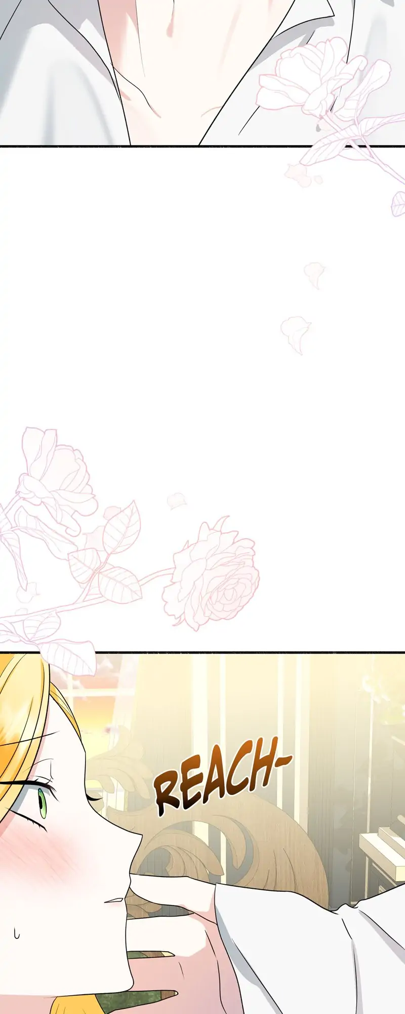 32997594 800 2000 47624