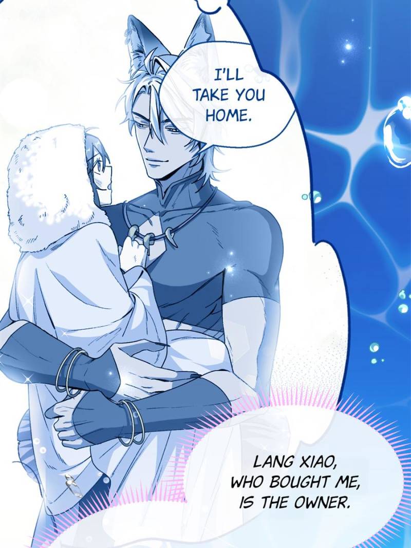 81497962 800 1067 96018