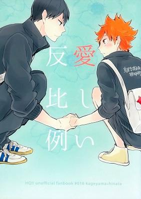 Haikyuu!! - Precious Inversion (Doujinshi)